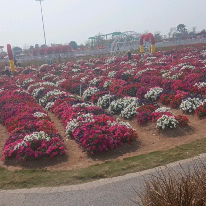 人情世故不认识人