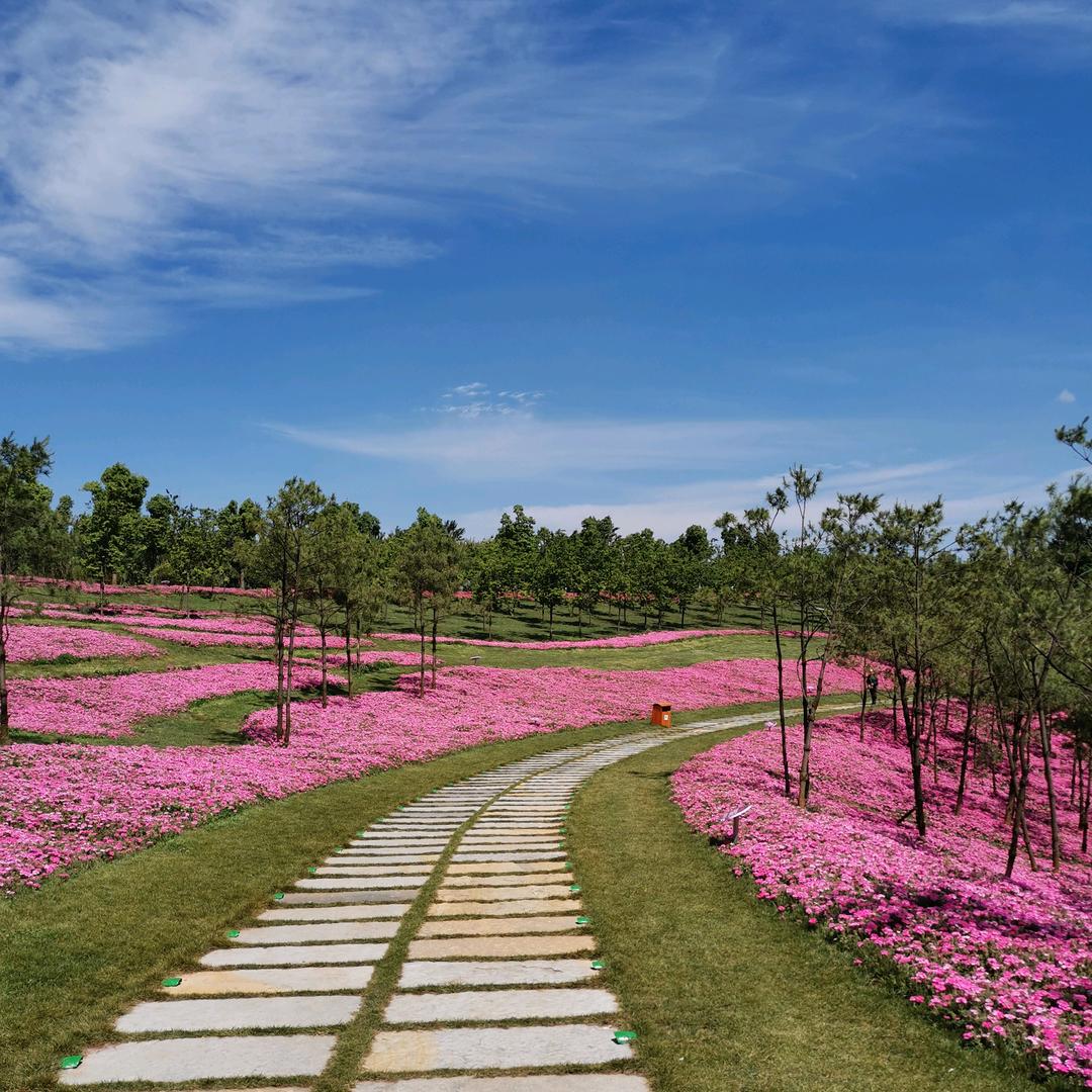 岁月静好（拒绝私聊）