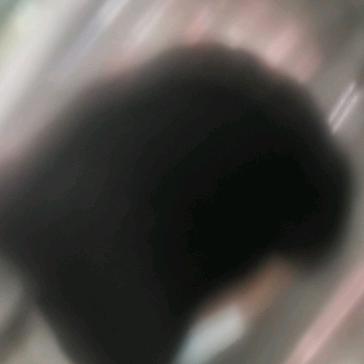 蔡木芬