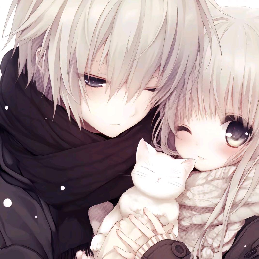 狸猫（1w5干将）