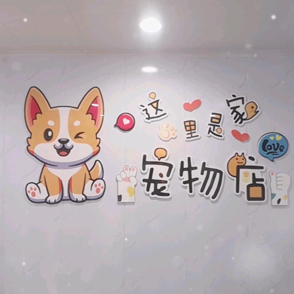贵族宠物生活