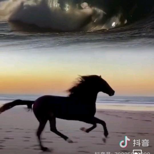 晚秋骄阳