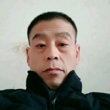 焦总