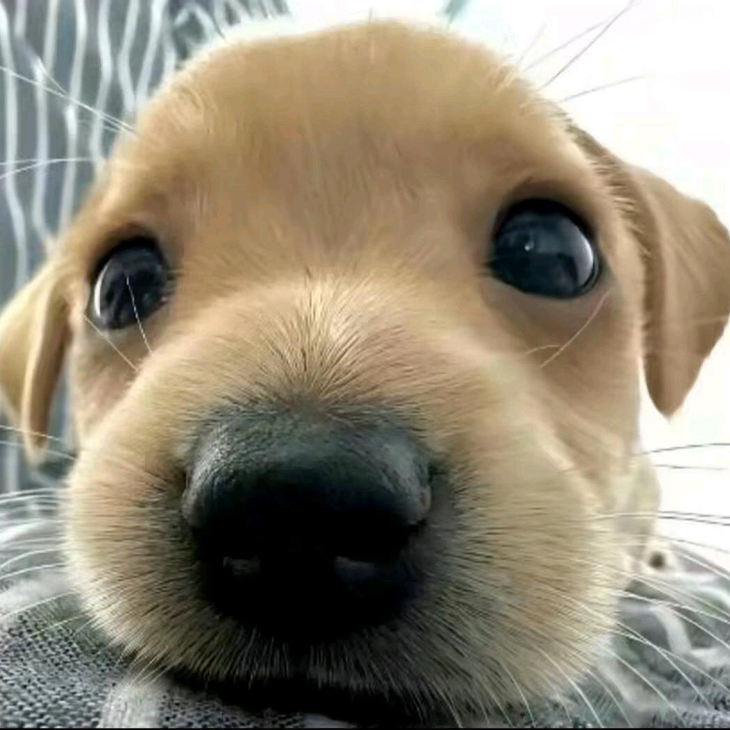 来财^