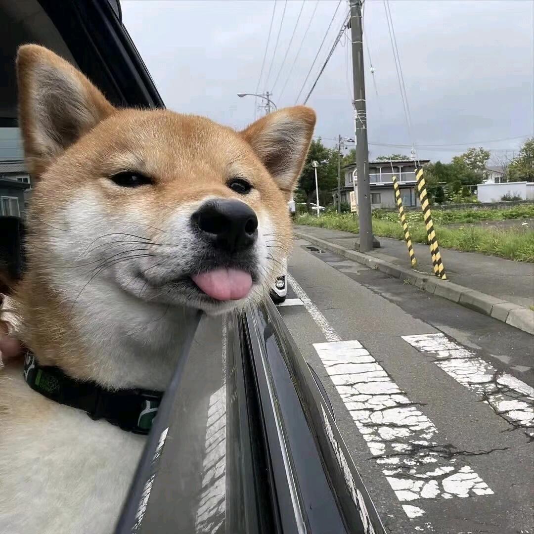 🌈：V