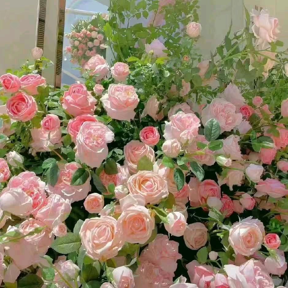 不修边幅只修脚