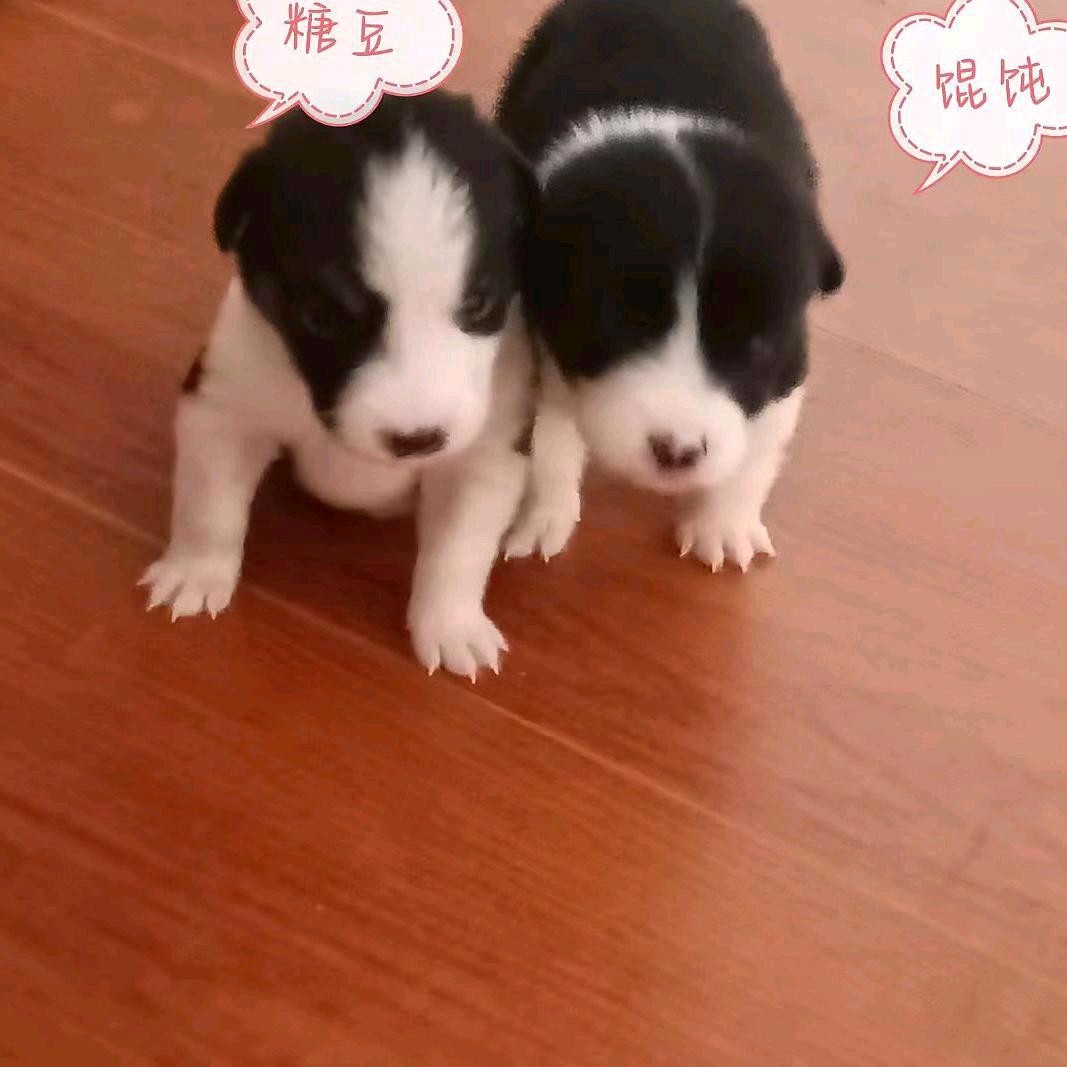 @花花