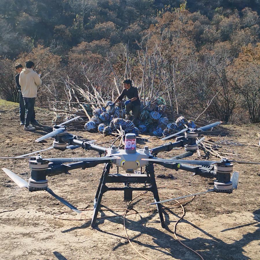 贵州荒山绿化劳务有限公司