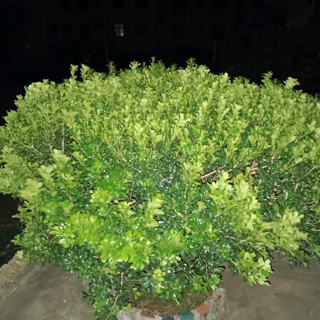 蜡笔