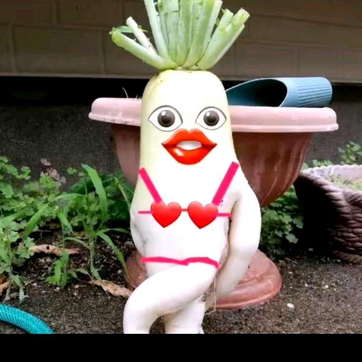 是你家靓仔