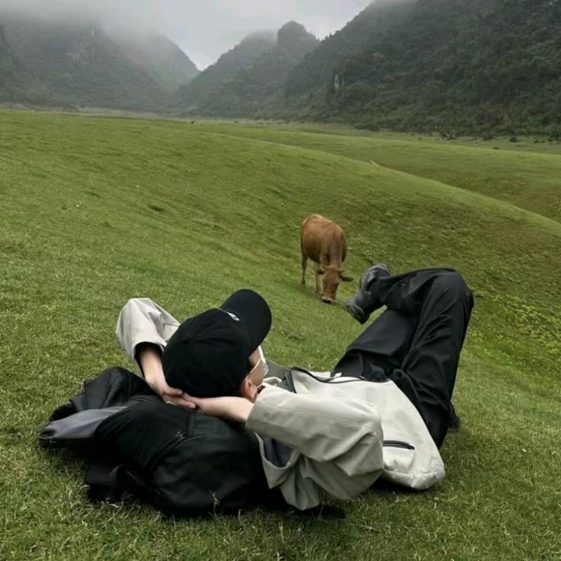 小陈没烦恼🇨🇳