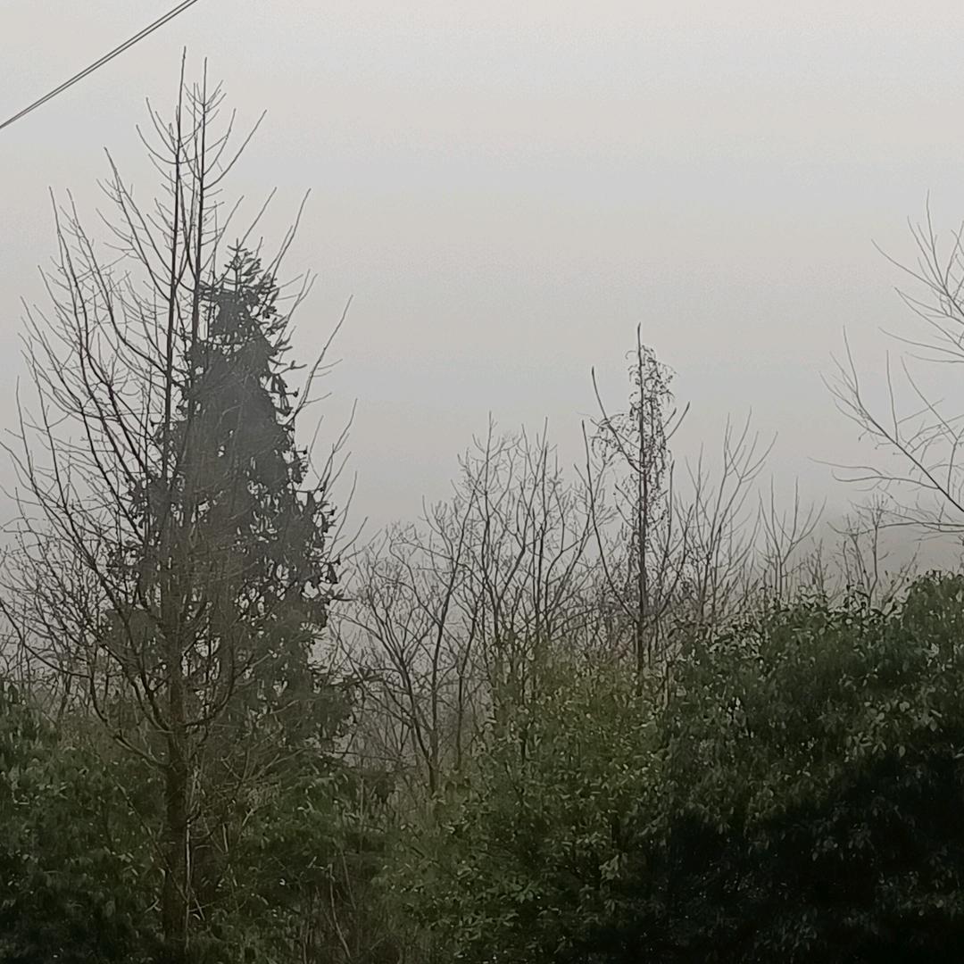 韩姐