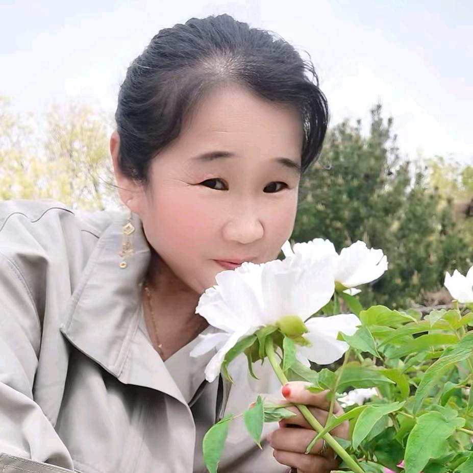 龙威之怒
