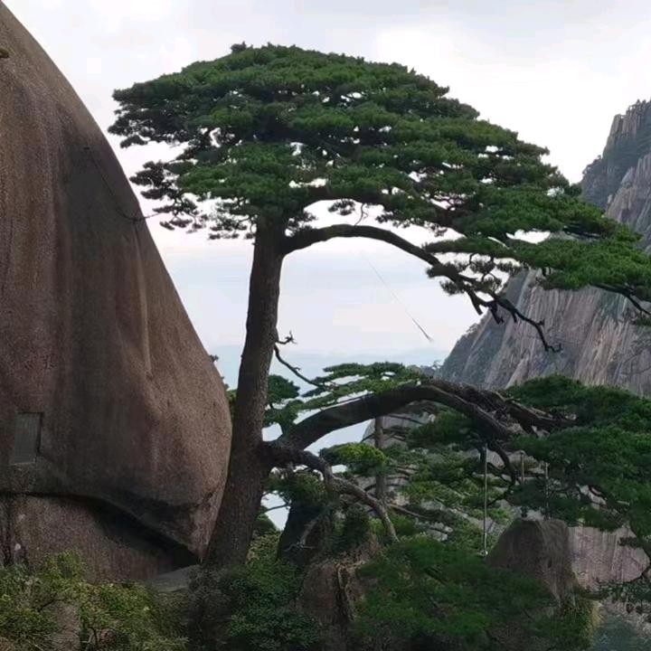 合肥智能家居