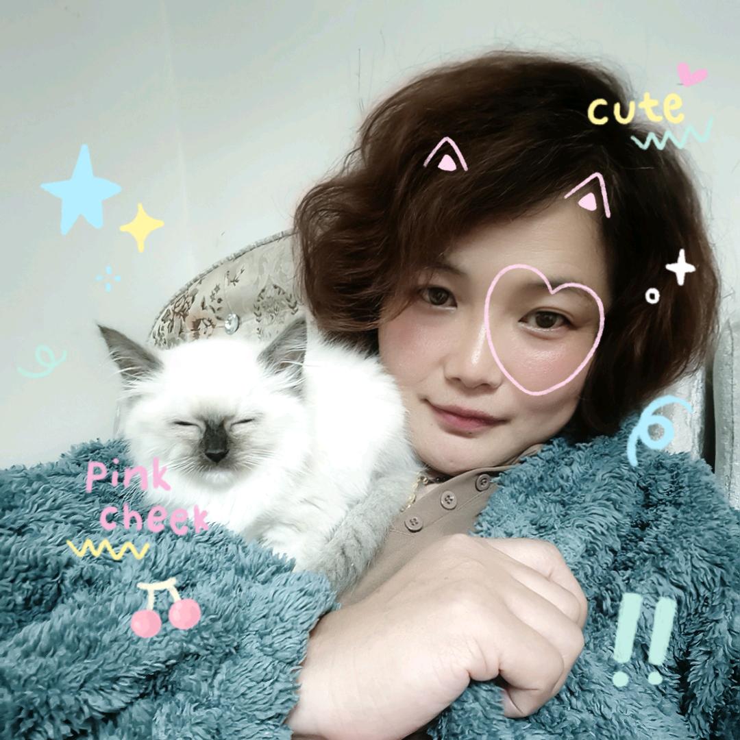 高价回收各类旧货的胖子！