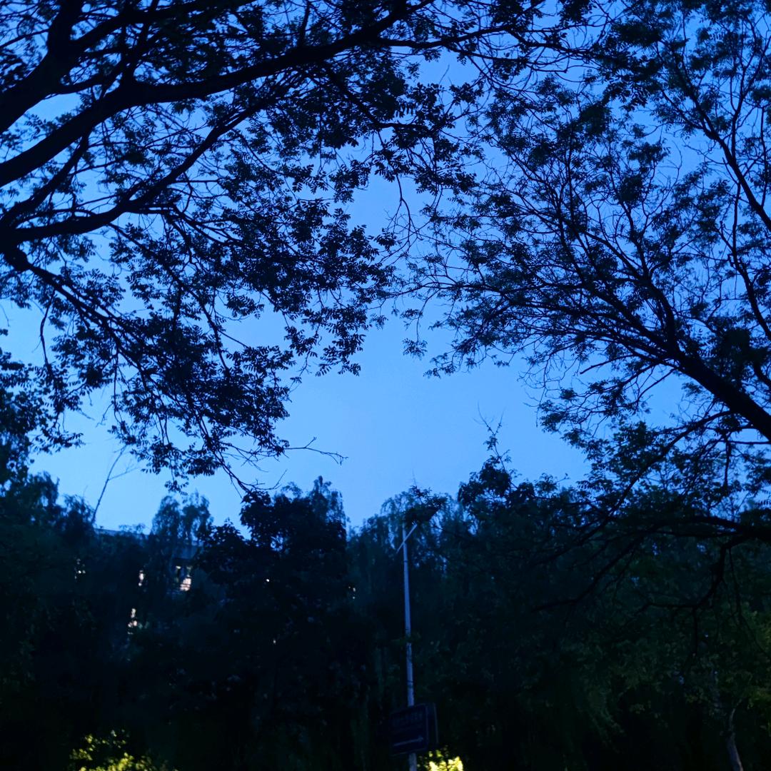 摇摆的企鹅.