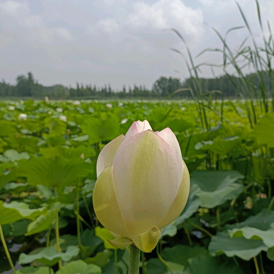 月亮圆圆姐