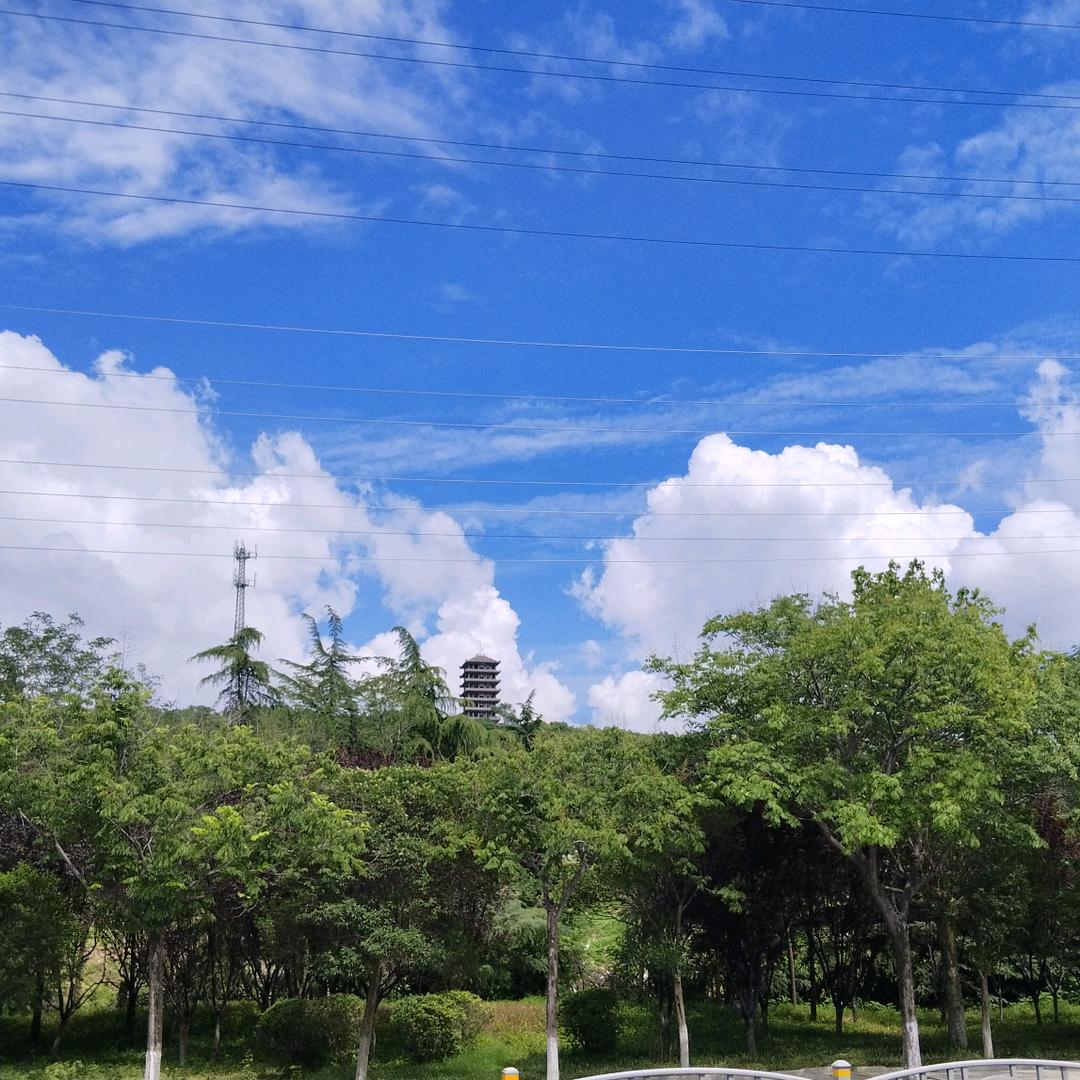 红梅花儿开(昌乐)
