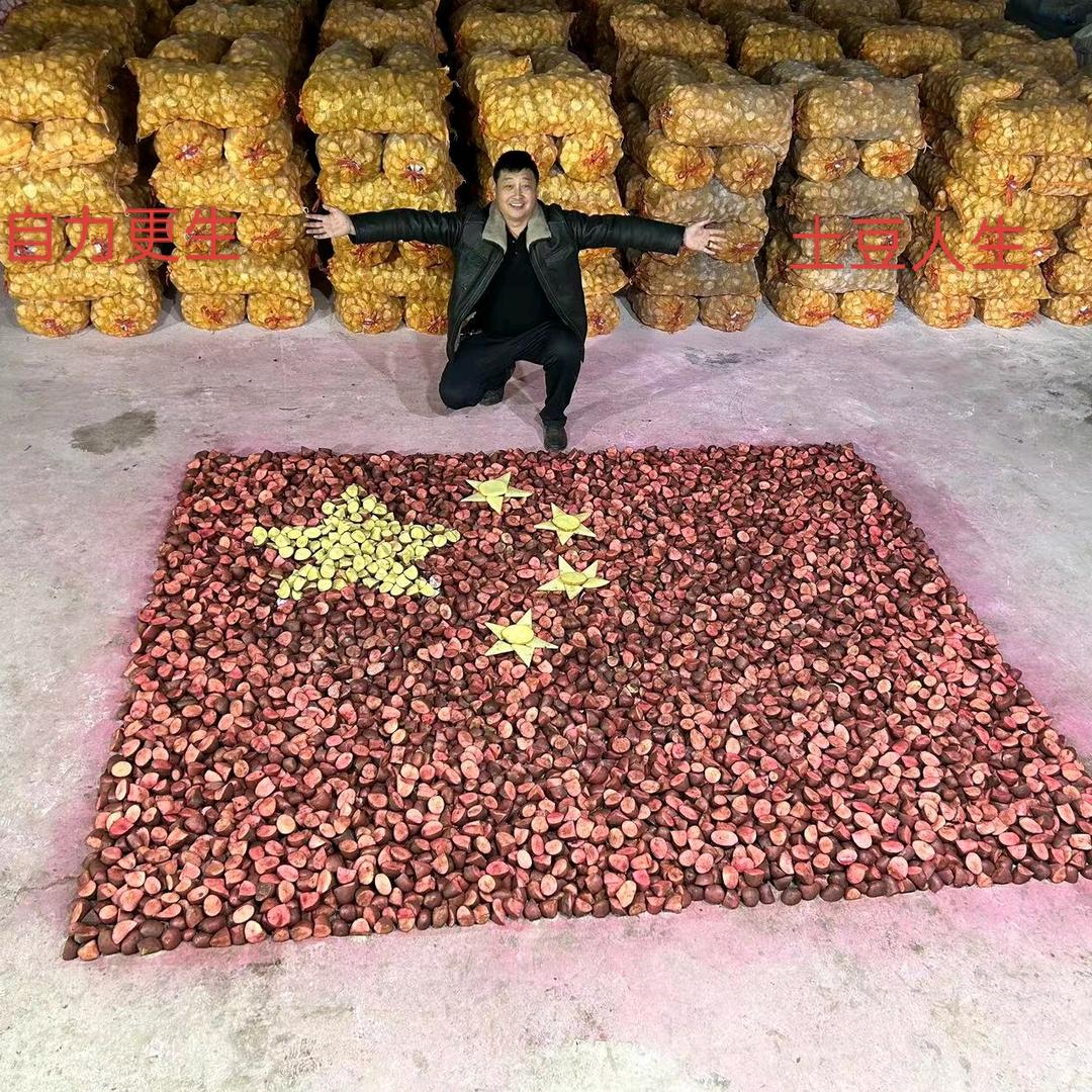 太旗丰茂农业种植
