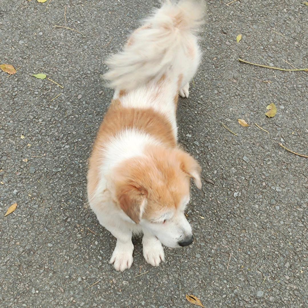 棉宝百货