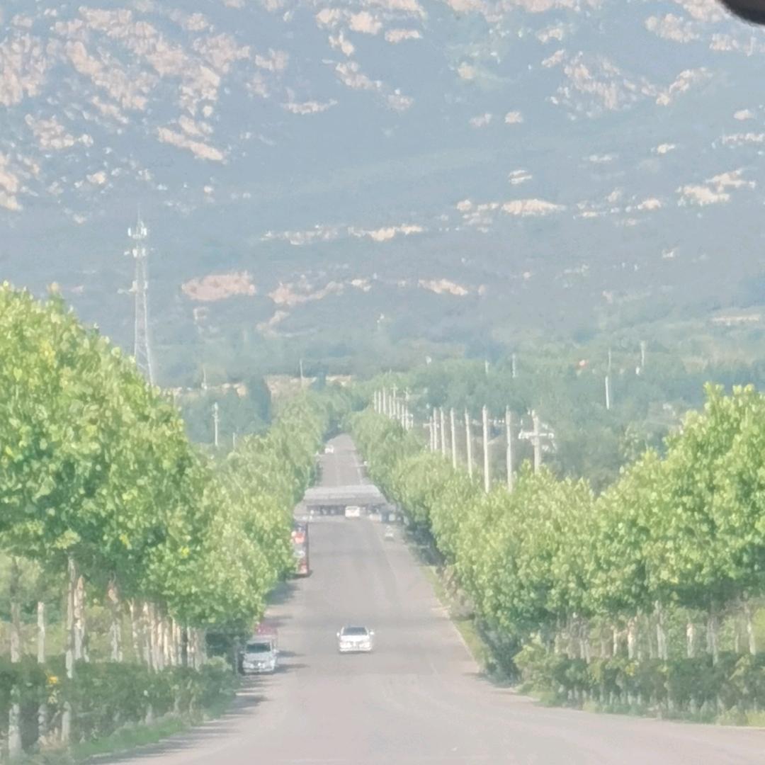 冰茜珂诺果树苗木专卖店