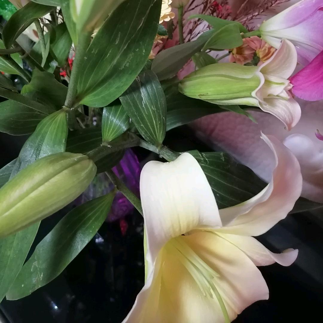 秀秀