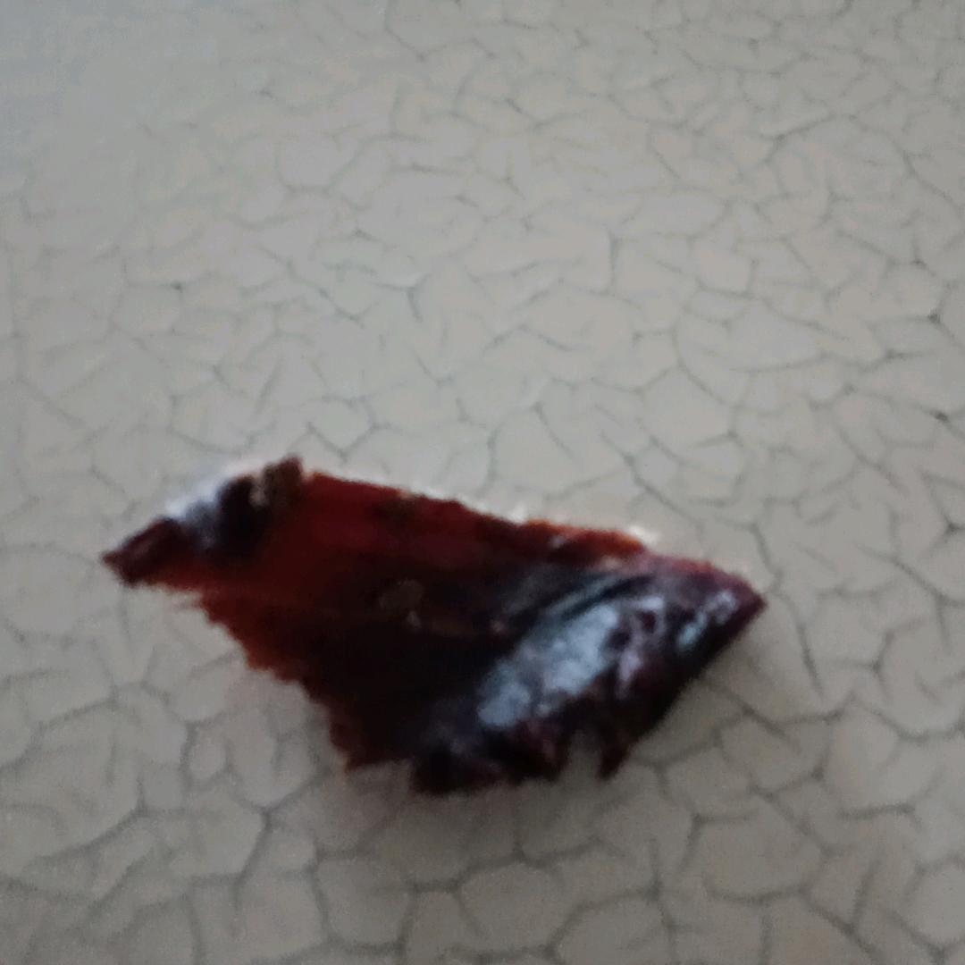 情深缘浅