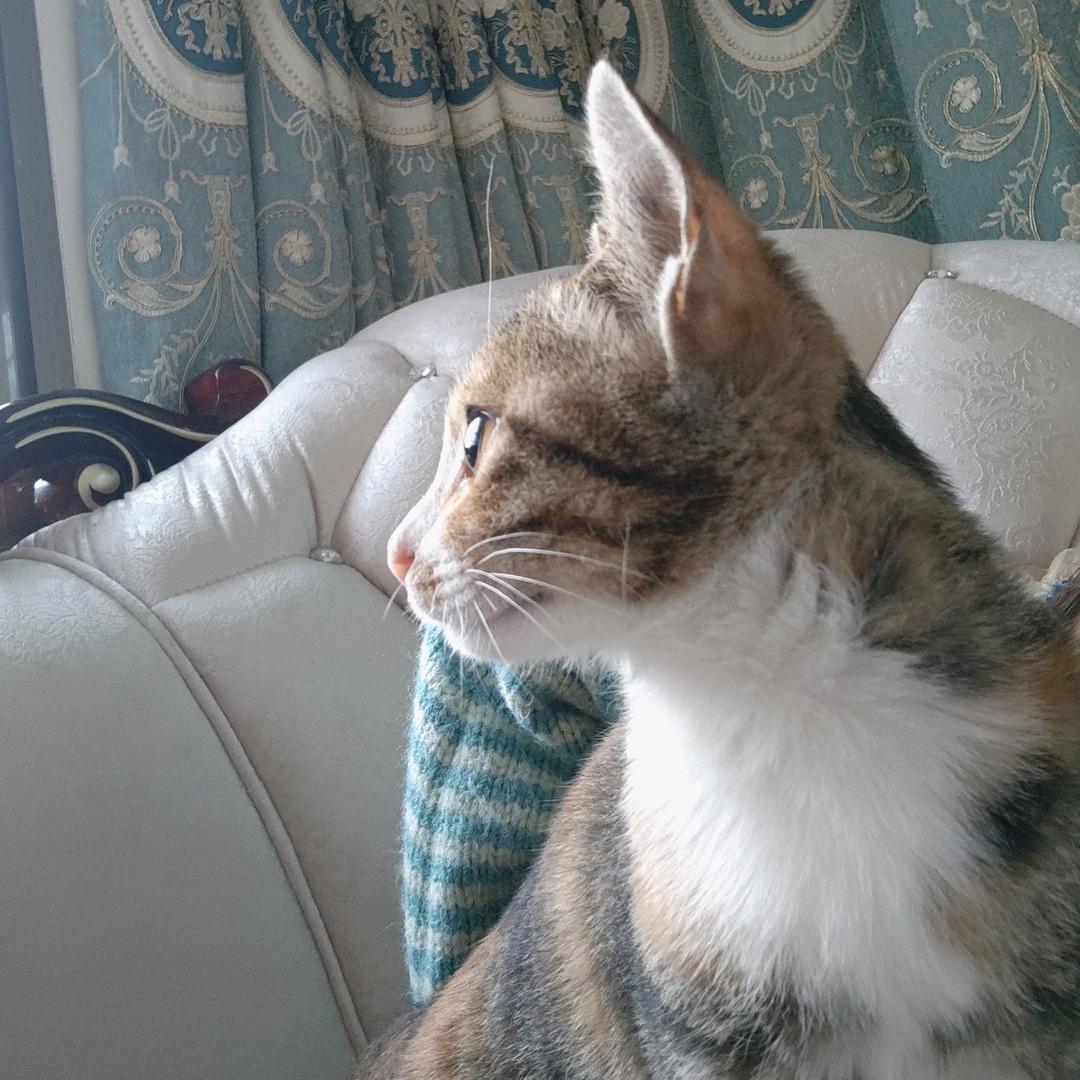 兰💞
