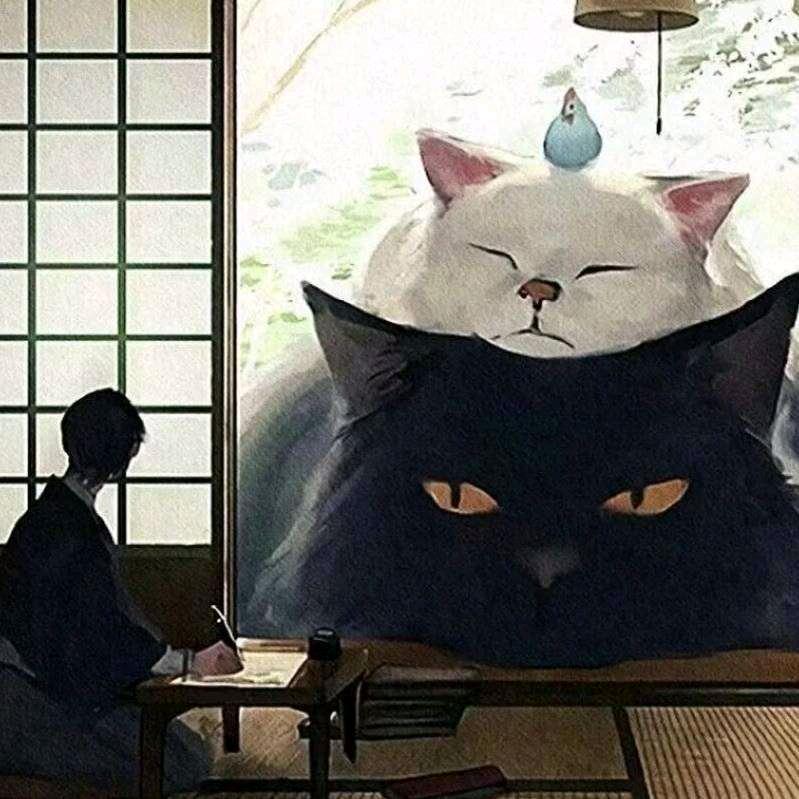 ༄༅༅༅小璨༄༅༅༅