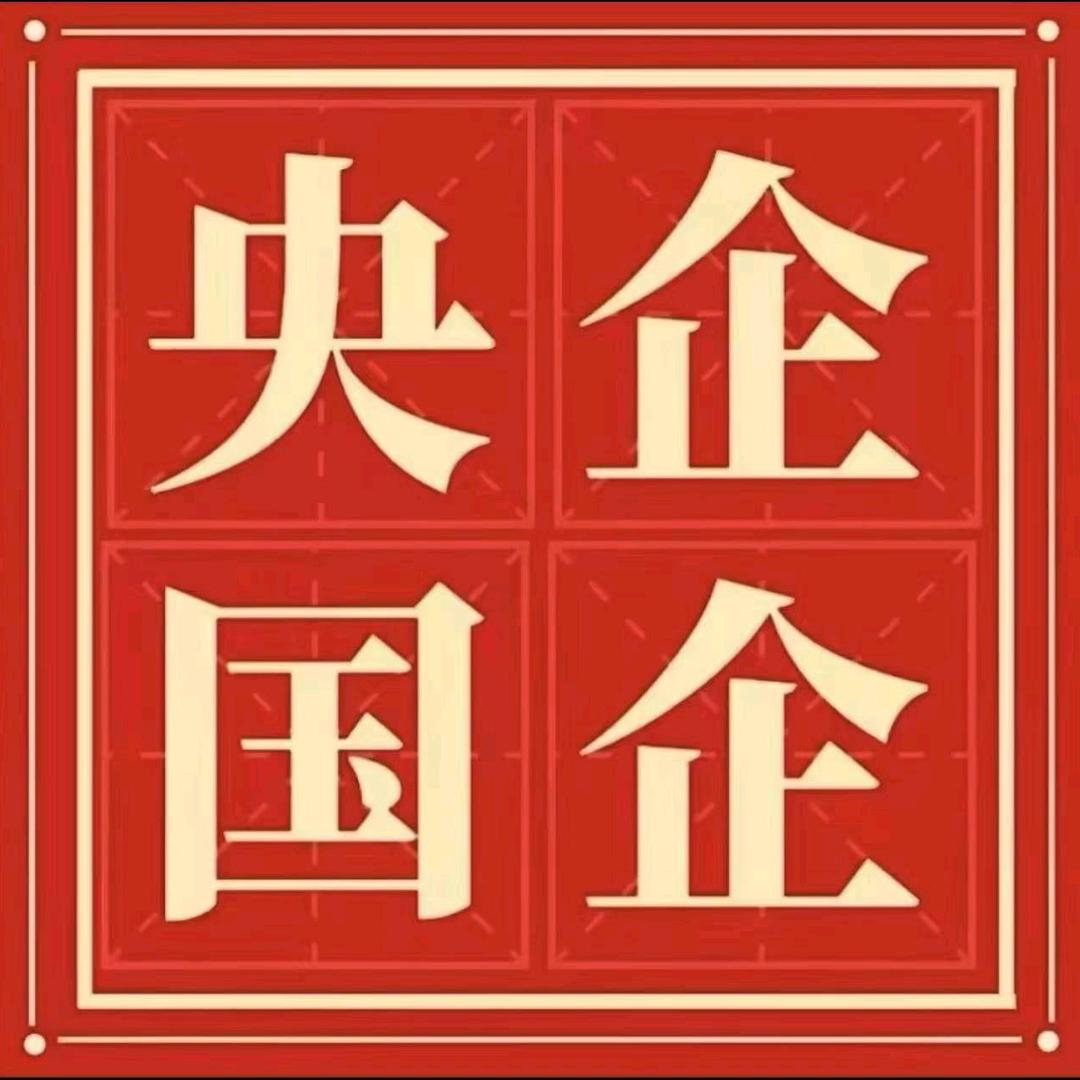 大学生央国企求职—就业指导
