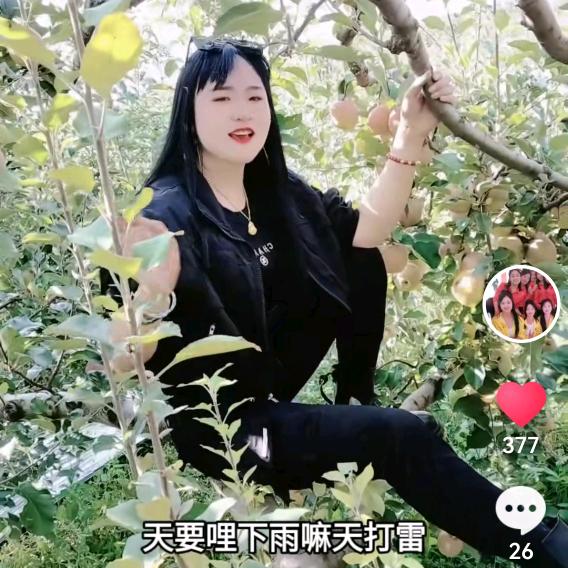 镇雄，蓉儿，优农产品，