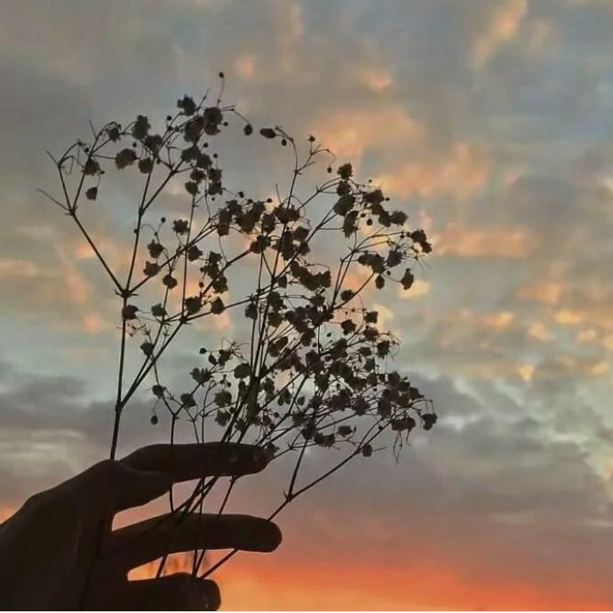 小花的百货日记