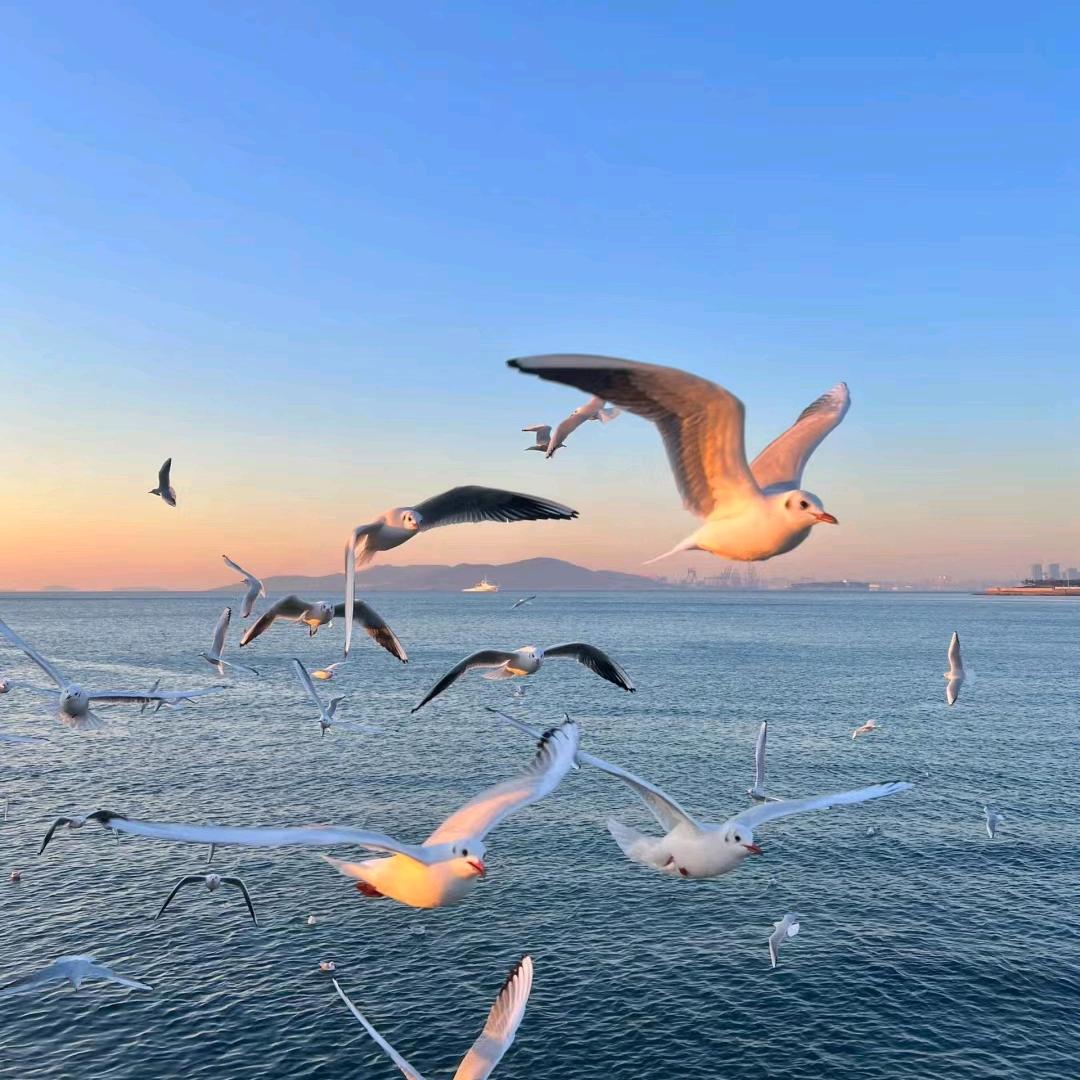 热血沸腾赵老师