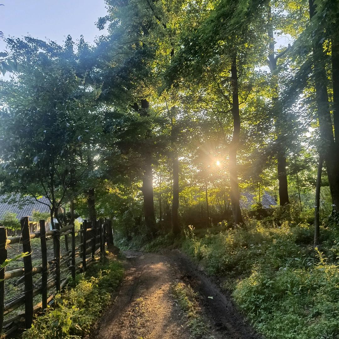 一路向北✔