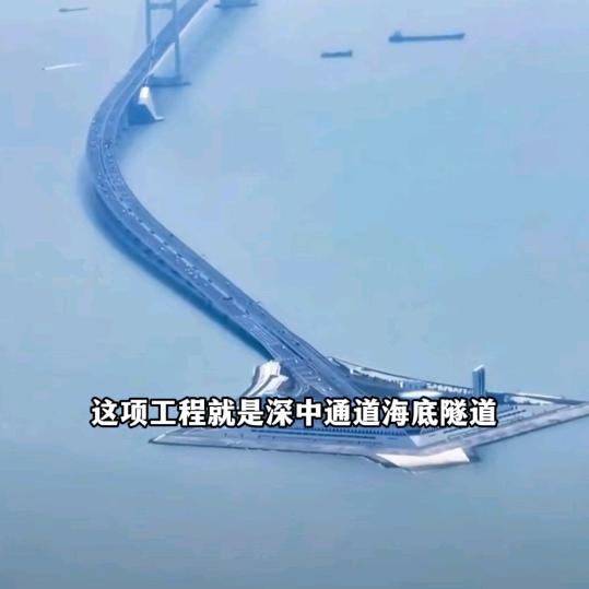 辣条哥的粉丝641