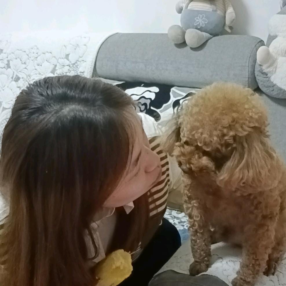 汪汪仙贝❣️
