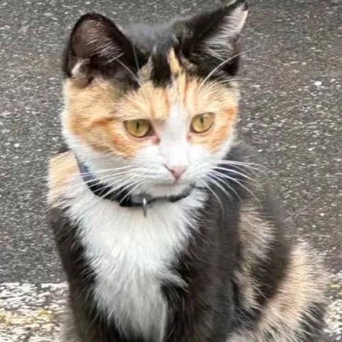 。。。。。。。