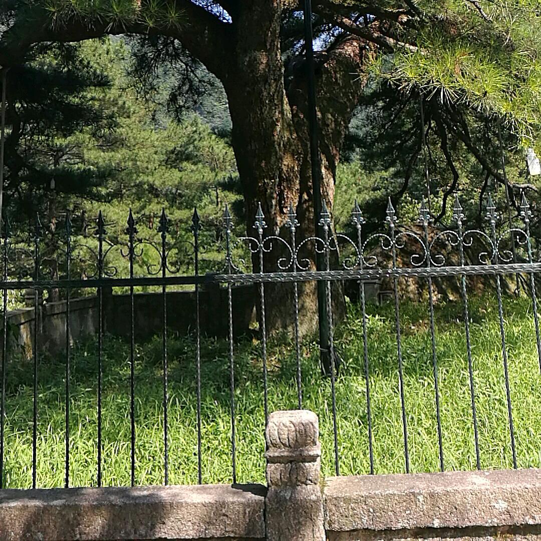 水果西施