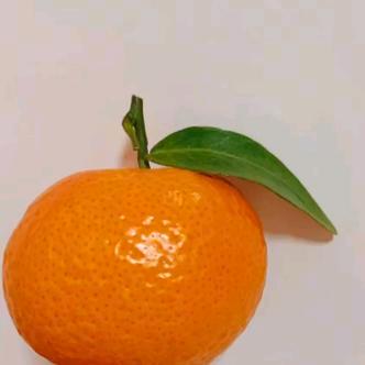 橘子家的西瓜酱