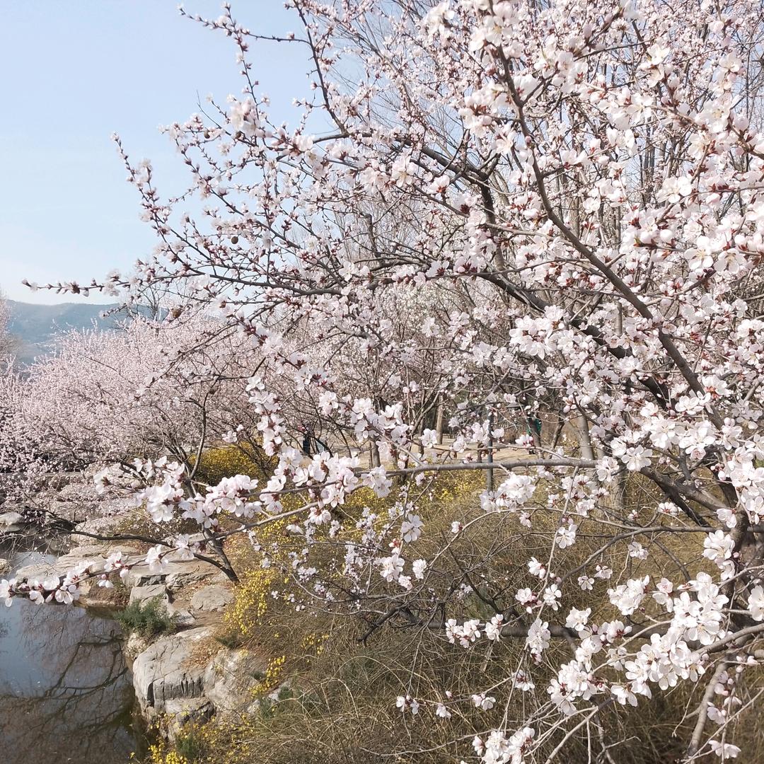 我选择，我喜欢