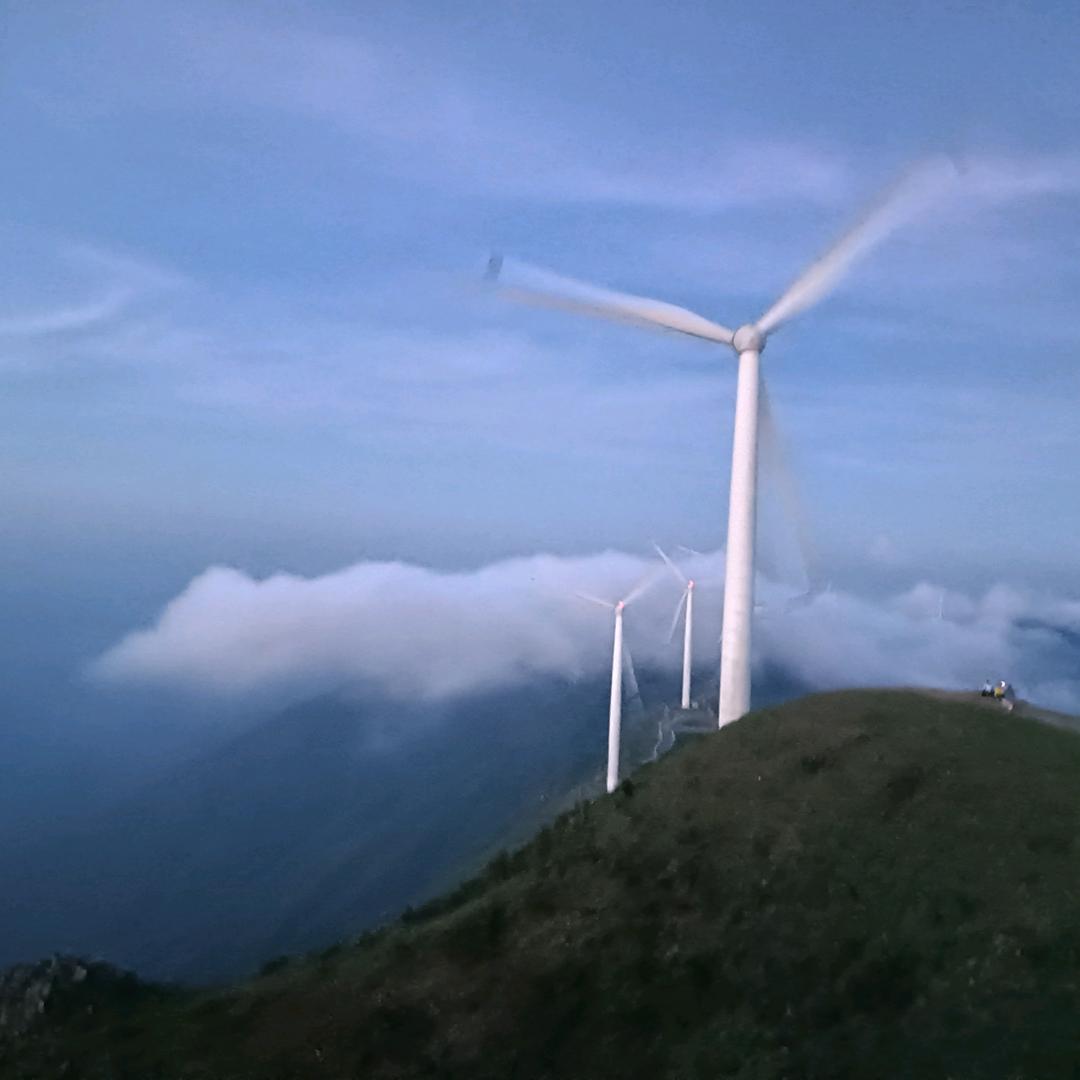 老百姓散养土鸡土鸭