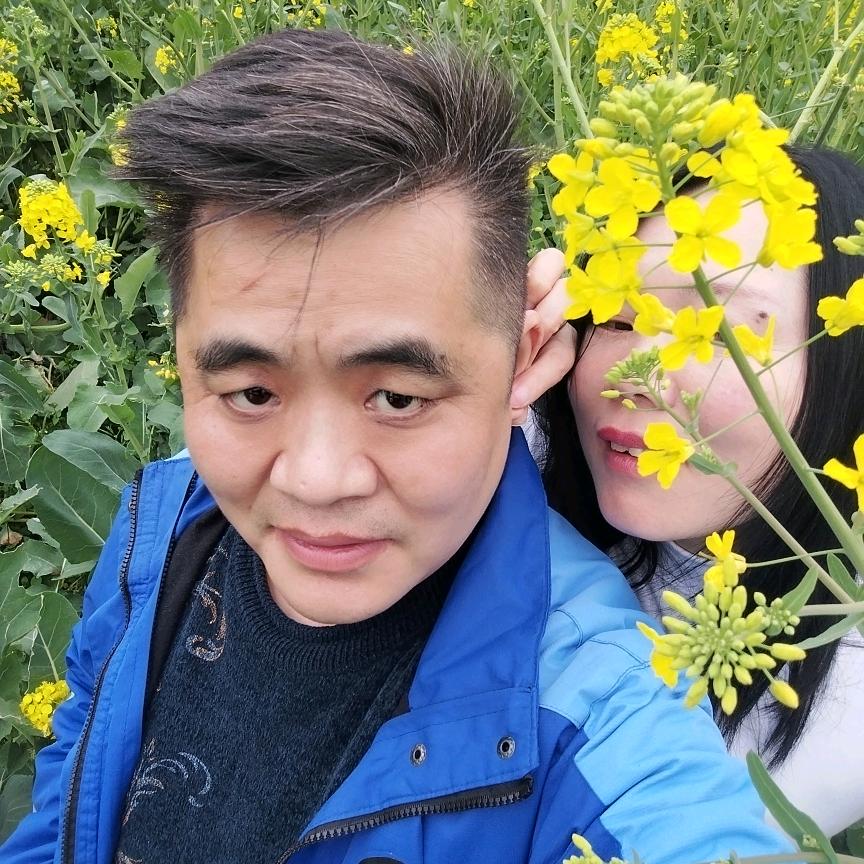 79喜羊羊