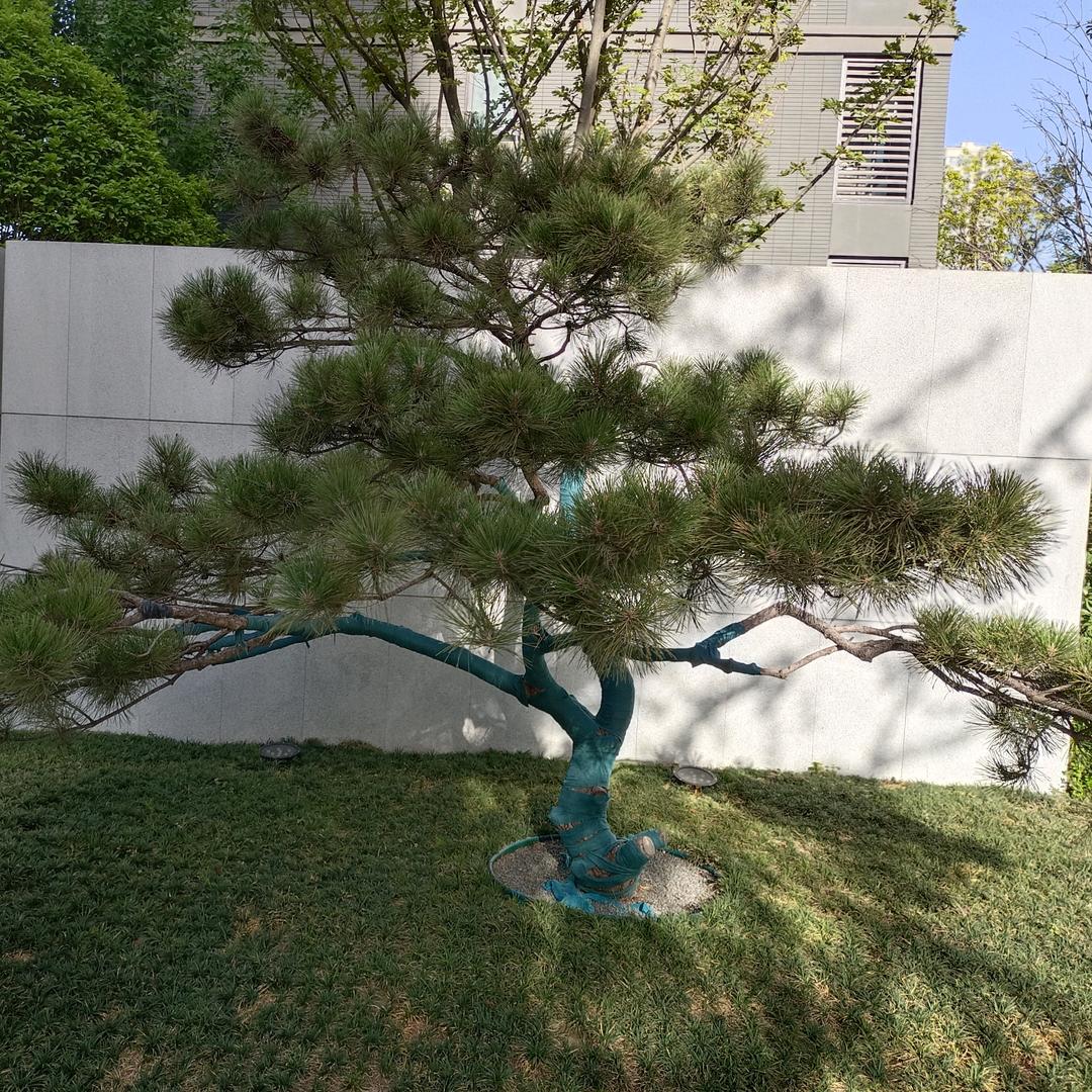 飘落在绿叶上的尘埃@@@