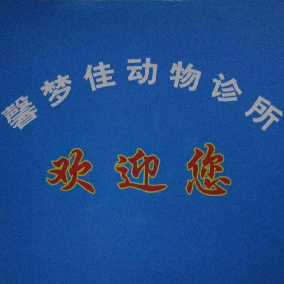 汪小琴