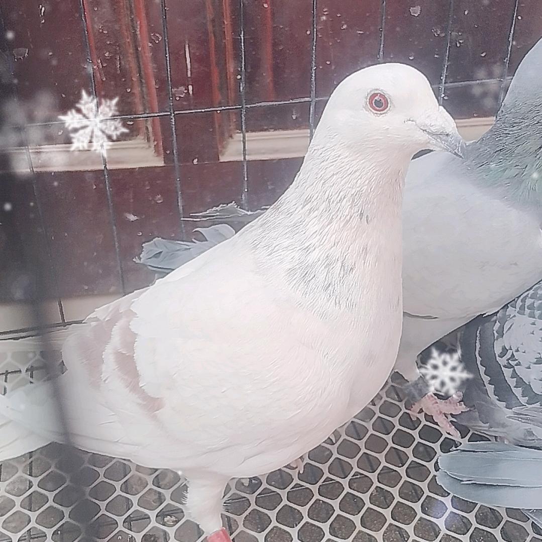 时光有个恋人叫未来6