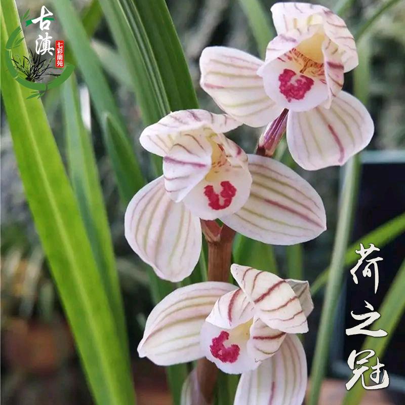美运兰苑