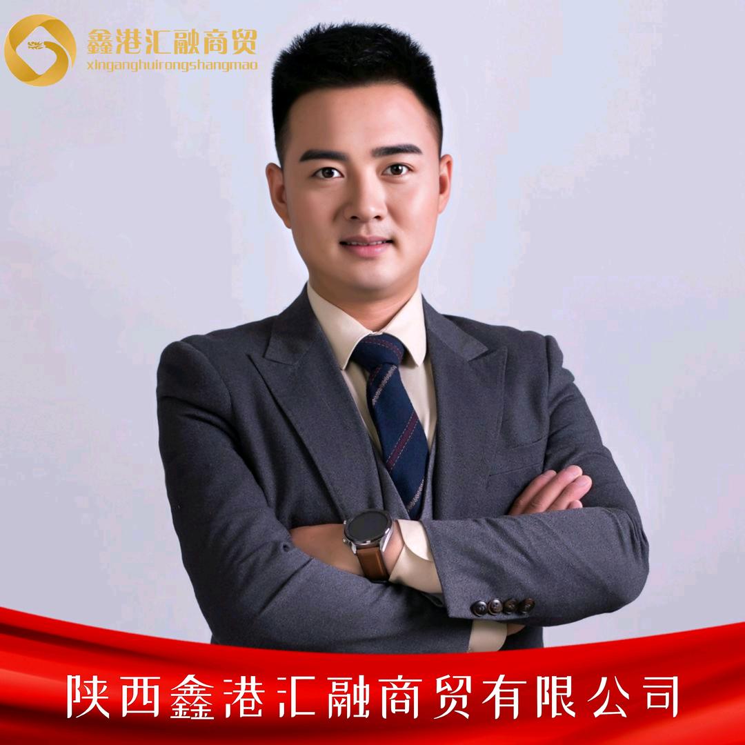 陕西鑫港汇融商贸 袁致刚