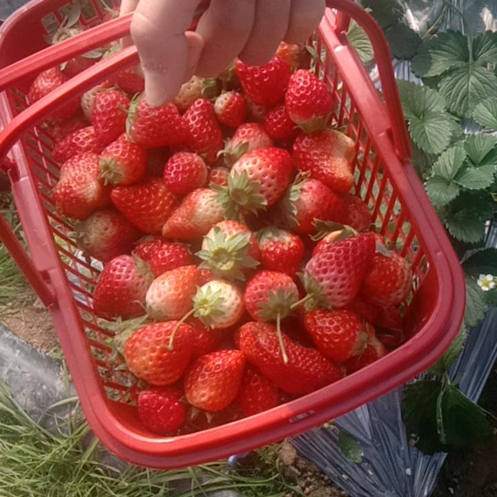 意念