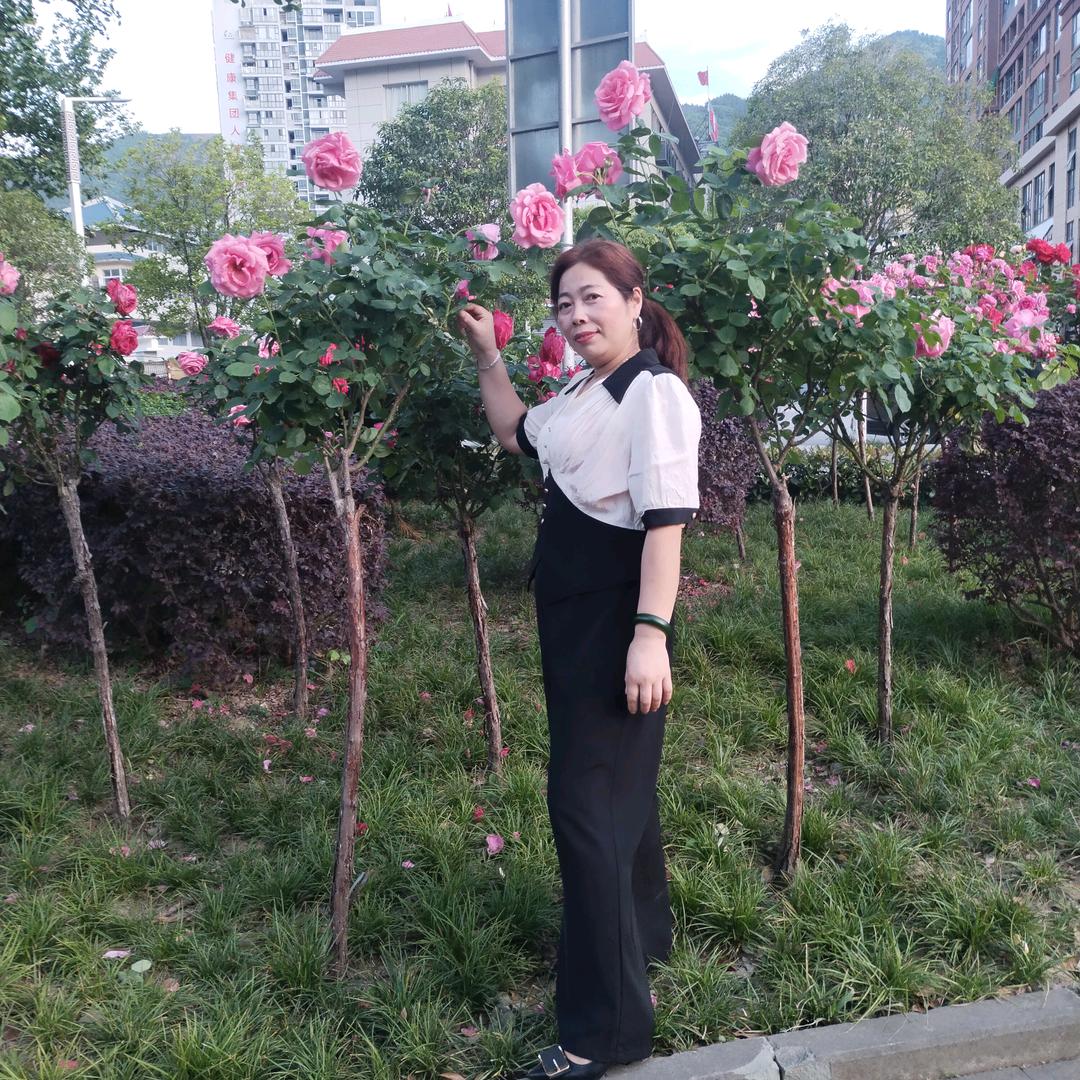 九月菊《拒绝私聊》