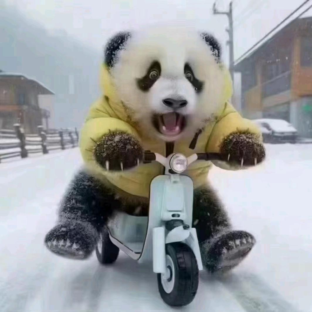 森格文化